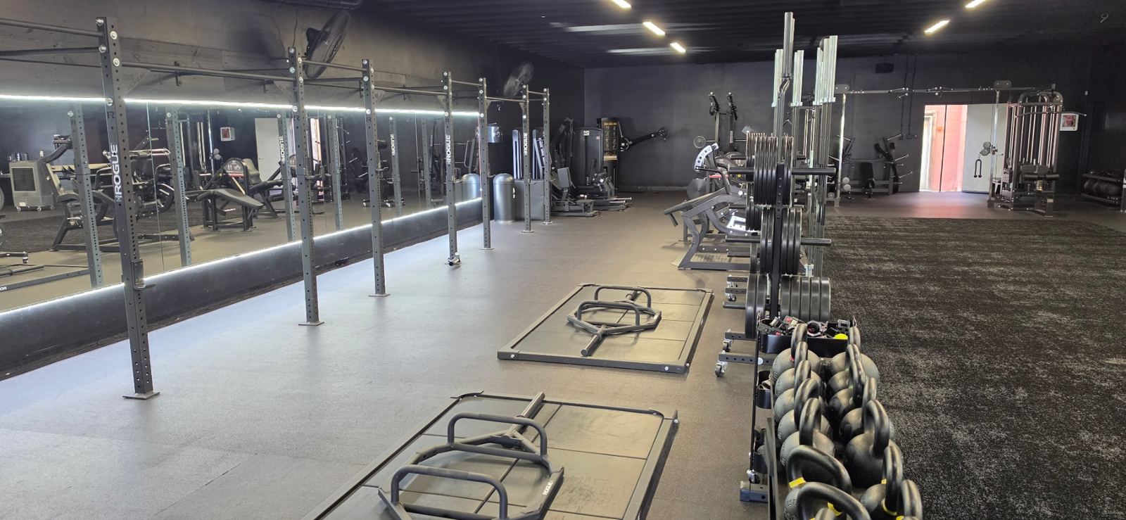 Squat Racks & Lifting Platforms